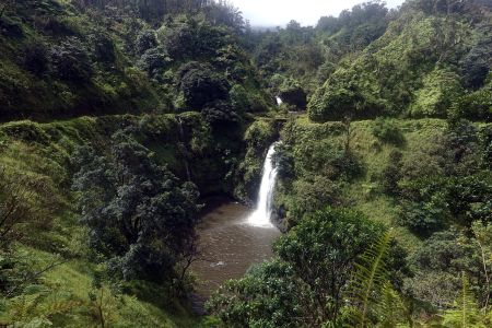 Na východě Maui je v pralese obrovské množství vodopádů.